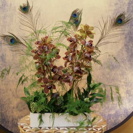 Orchidées