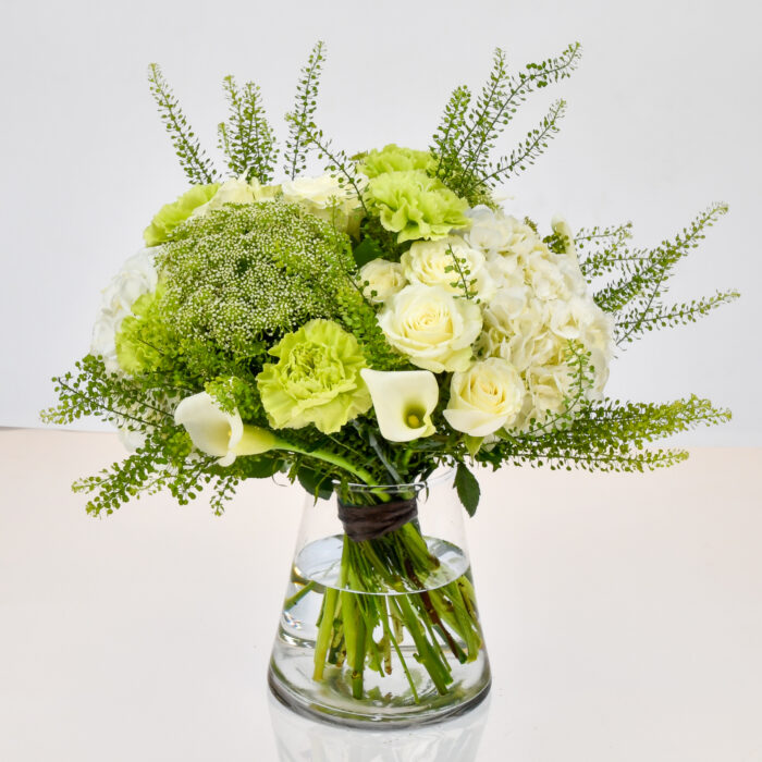 Limette – Image 2