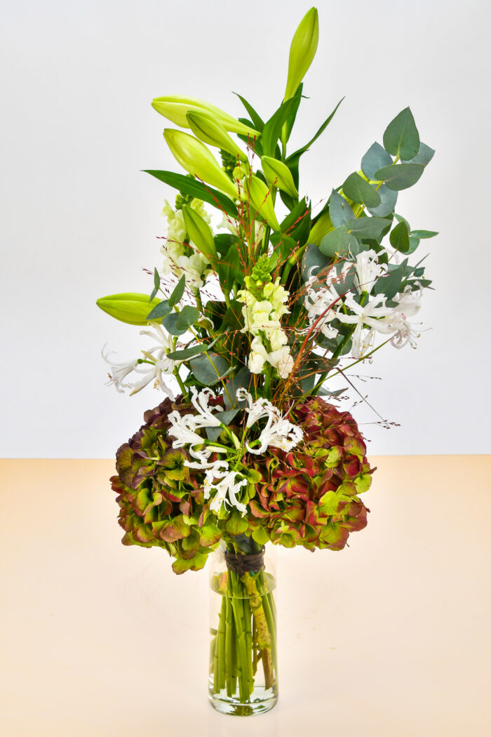 Coumarine – Image 2