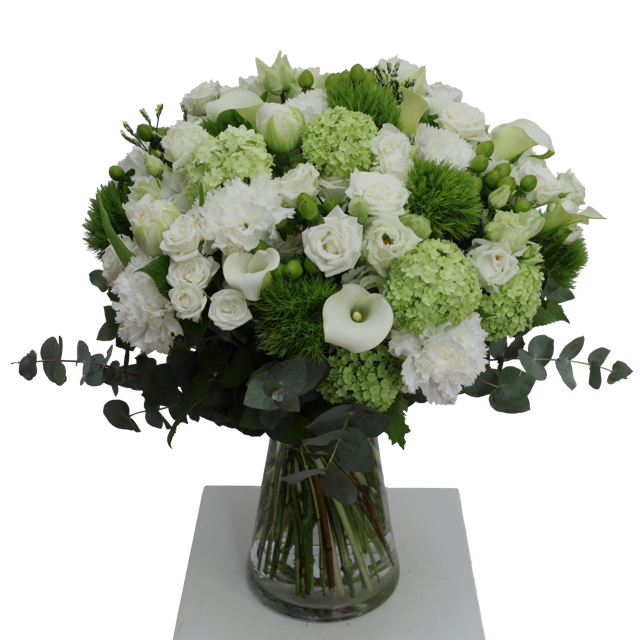 Bergamote – Image 3