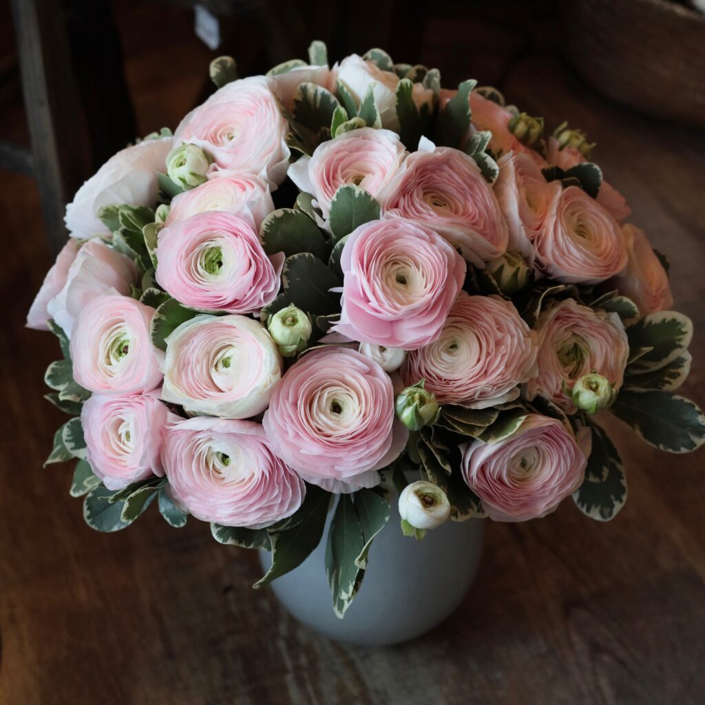 Bouquet Rose Bonbon - Renoncules d’Italie Roses | FLORAL Courchevel