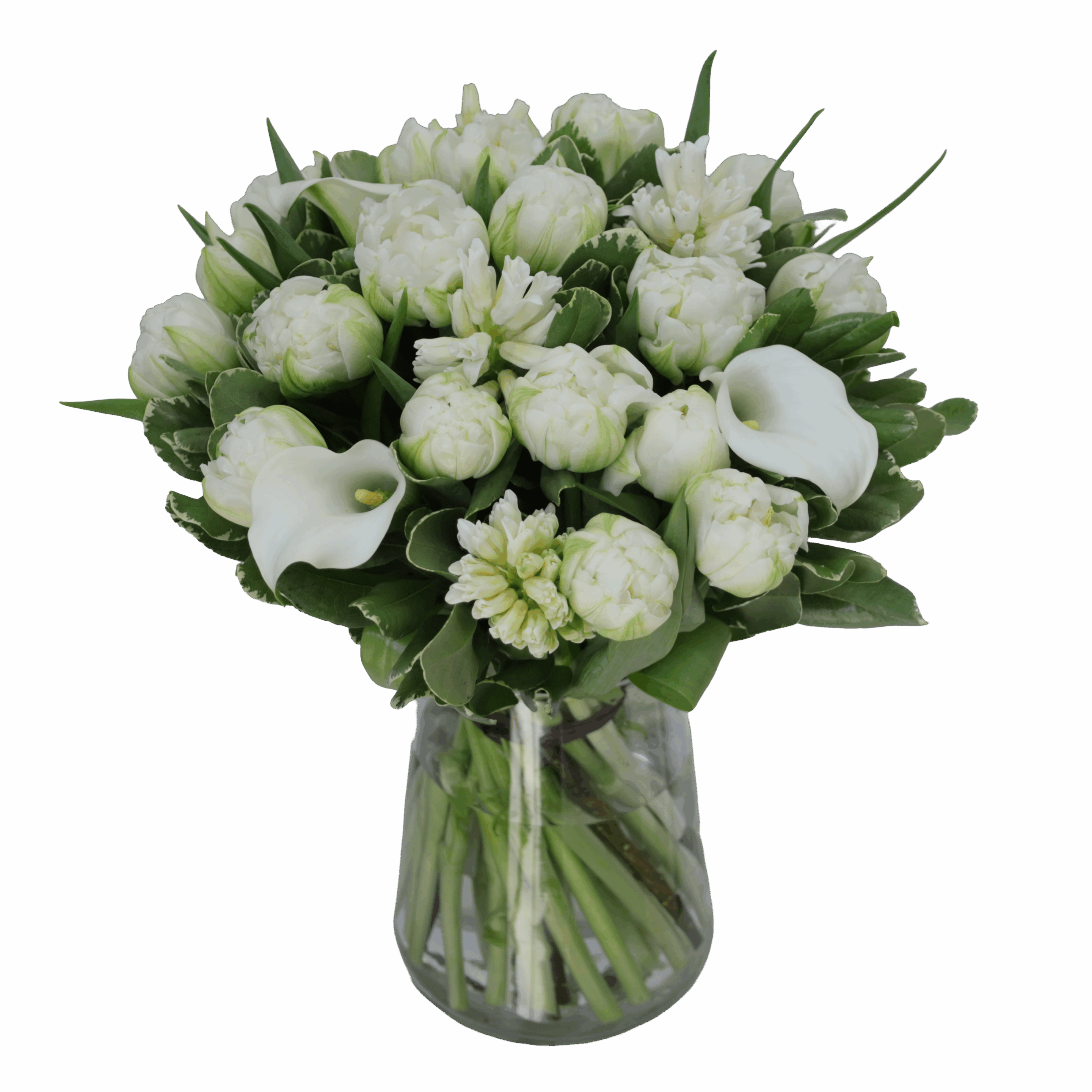 Jacinthe – Image 7