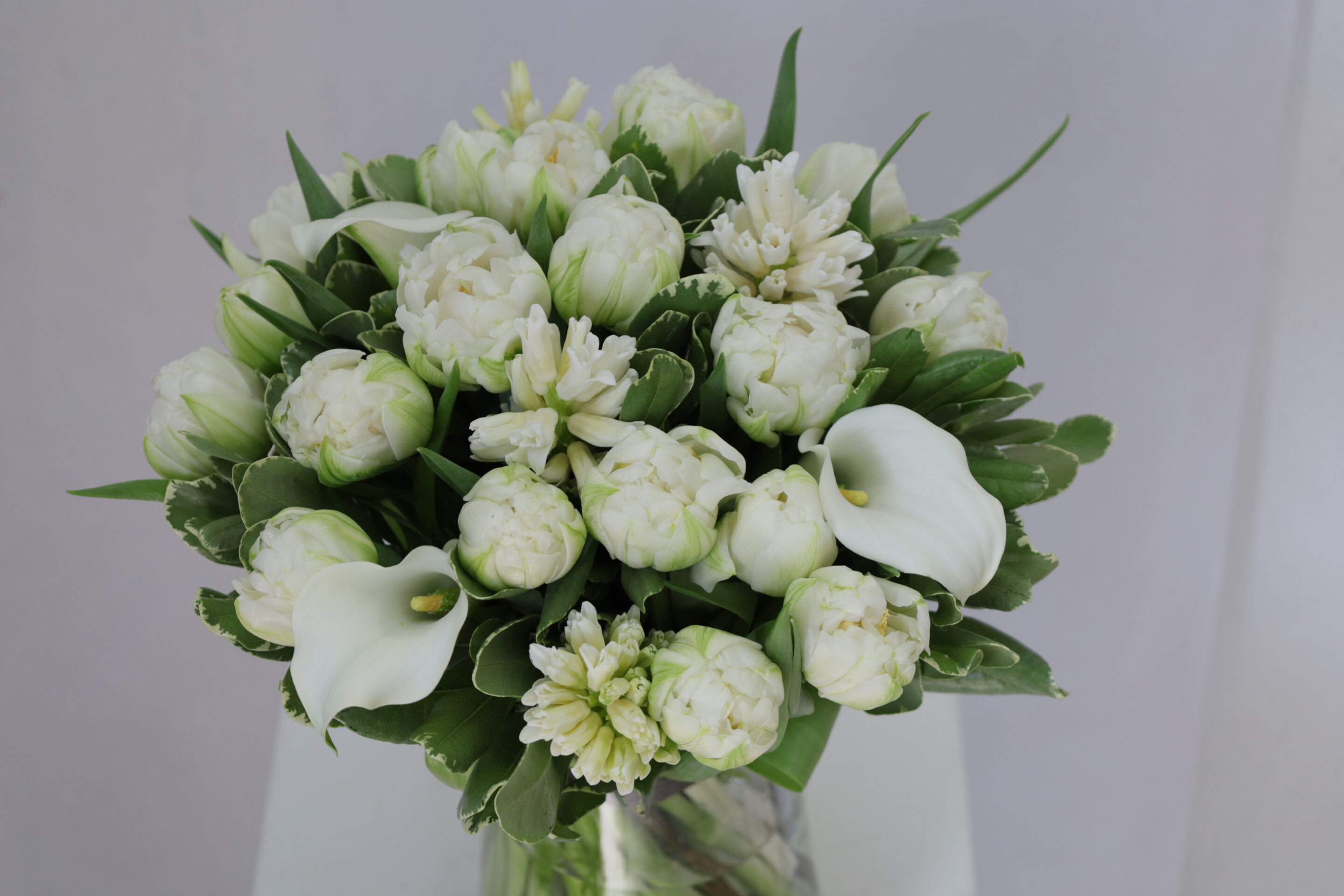 Jacinthe – Image 6