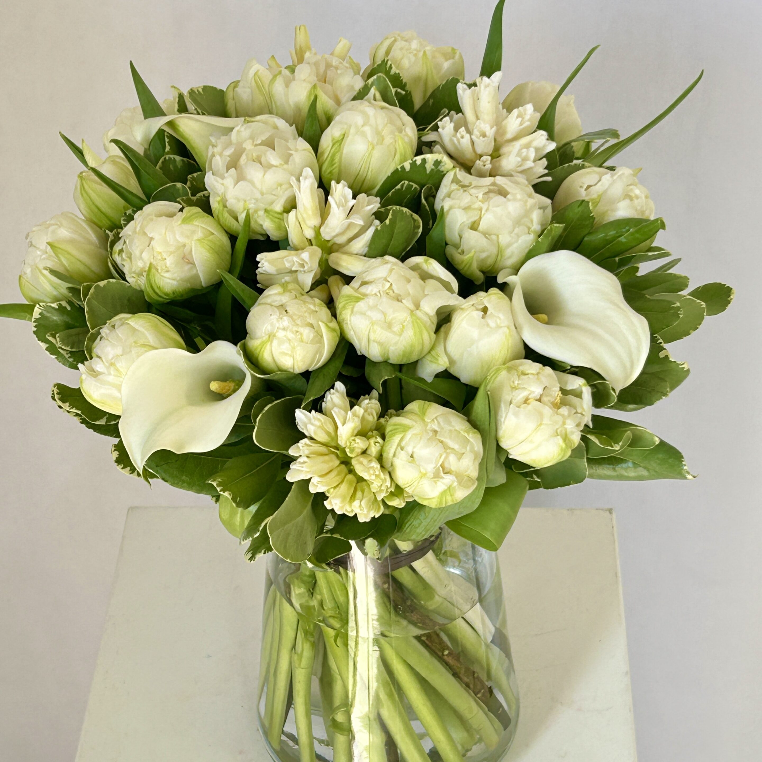 Jacinthe – Image 5