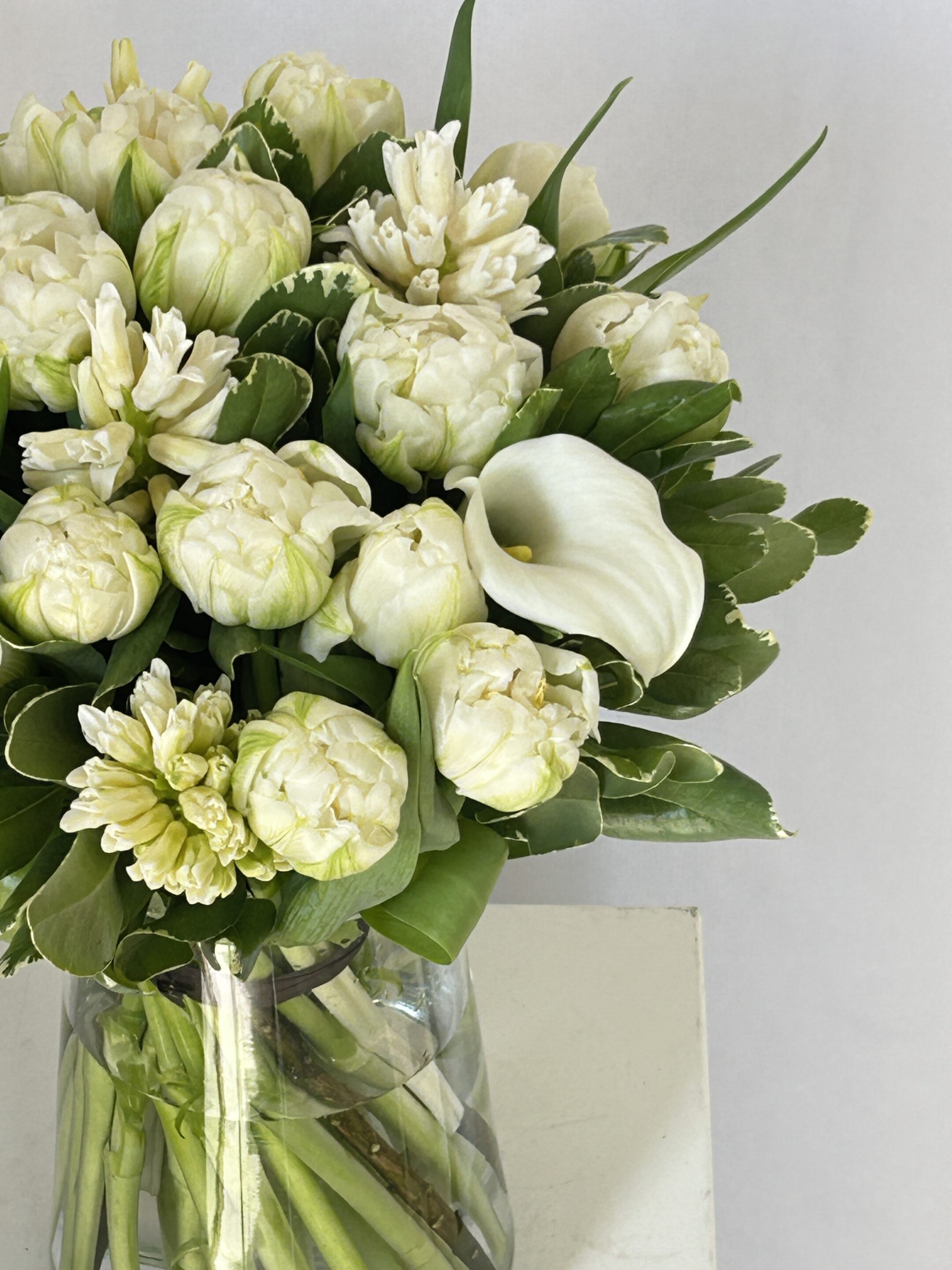 Jacinthe – Image 4