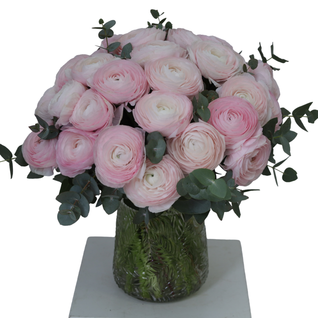 Rose Bonbon – Image 2