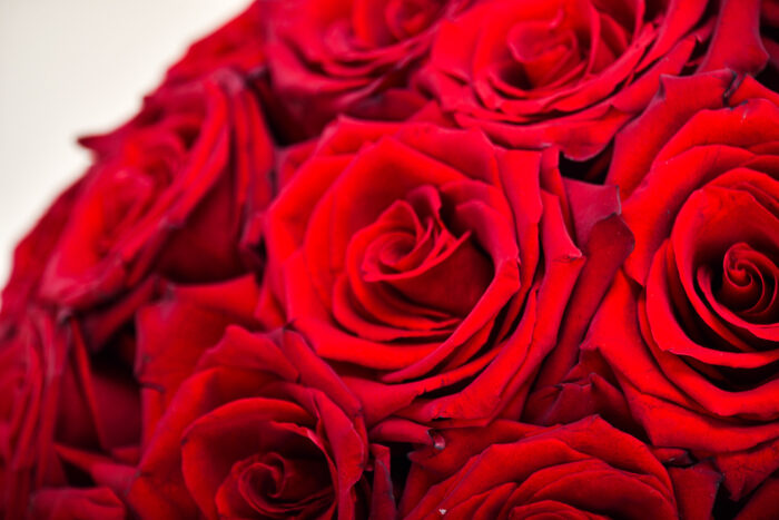 Boîte de Roses Rouges – Image 2