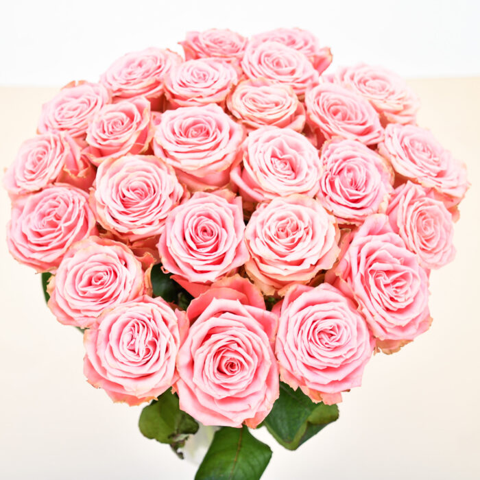 Roses Roses – Image 9