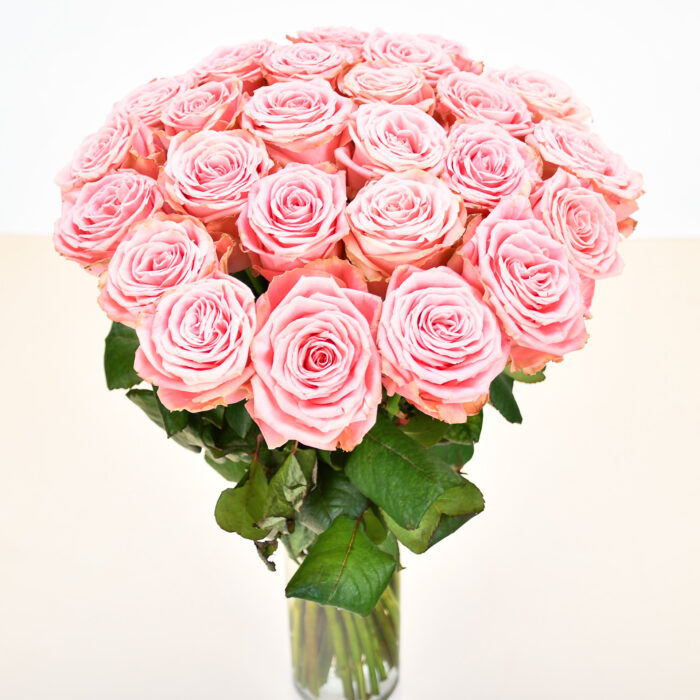 Roses Roses – Image 8