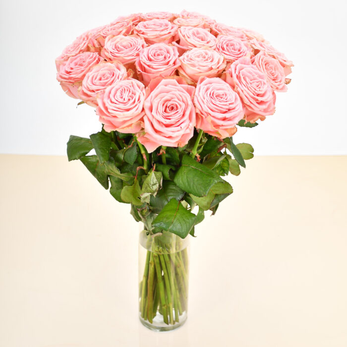 Roses Roses – Image 7