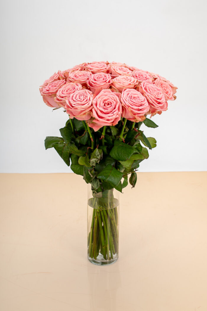 Roses Roses – Image 6