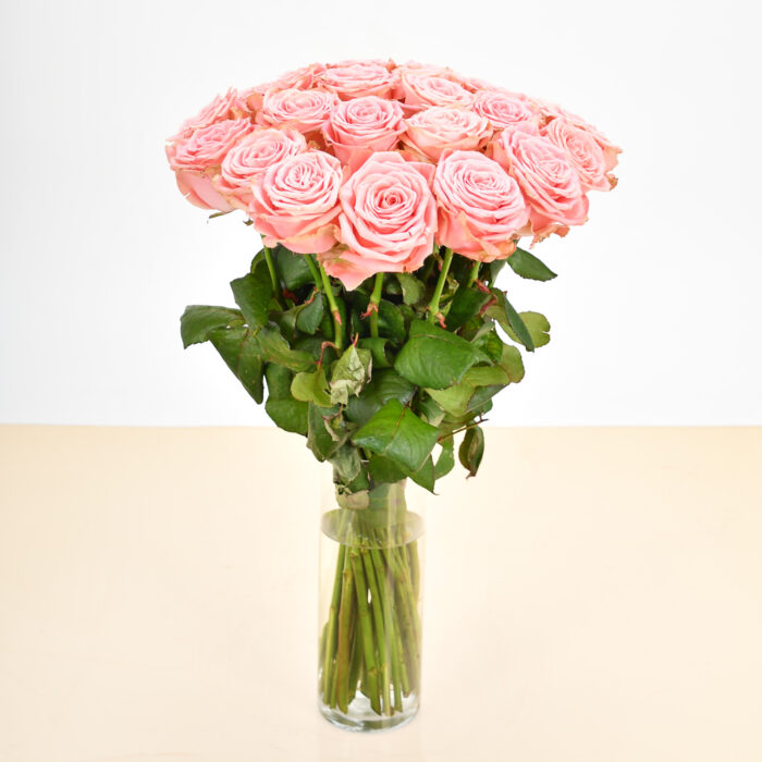 Roses Roses – Image 5
