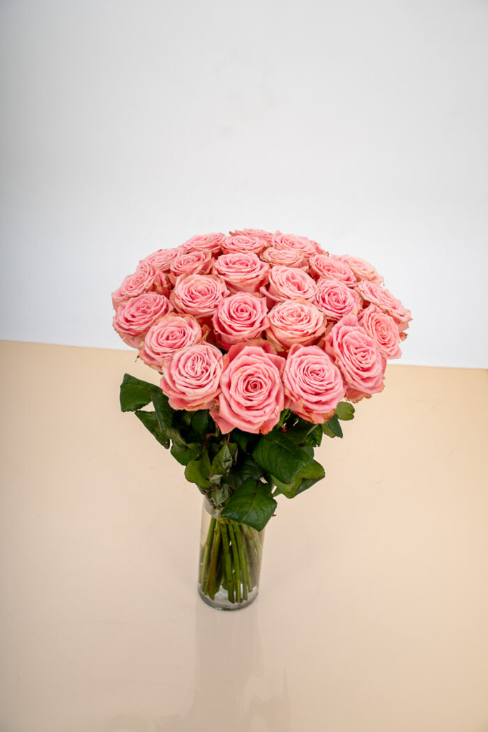 Roses Roses – Image 4