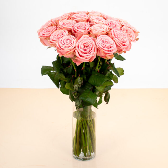 Roses-Pink-St-Valentin-Courchevel
