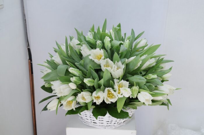 Vétiver blanc – Image 2